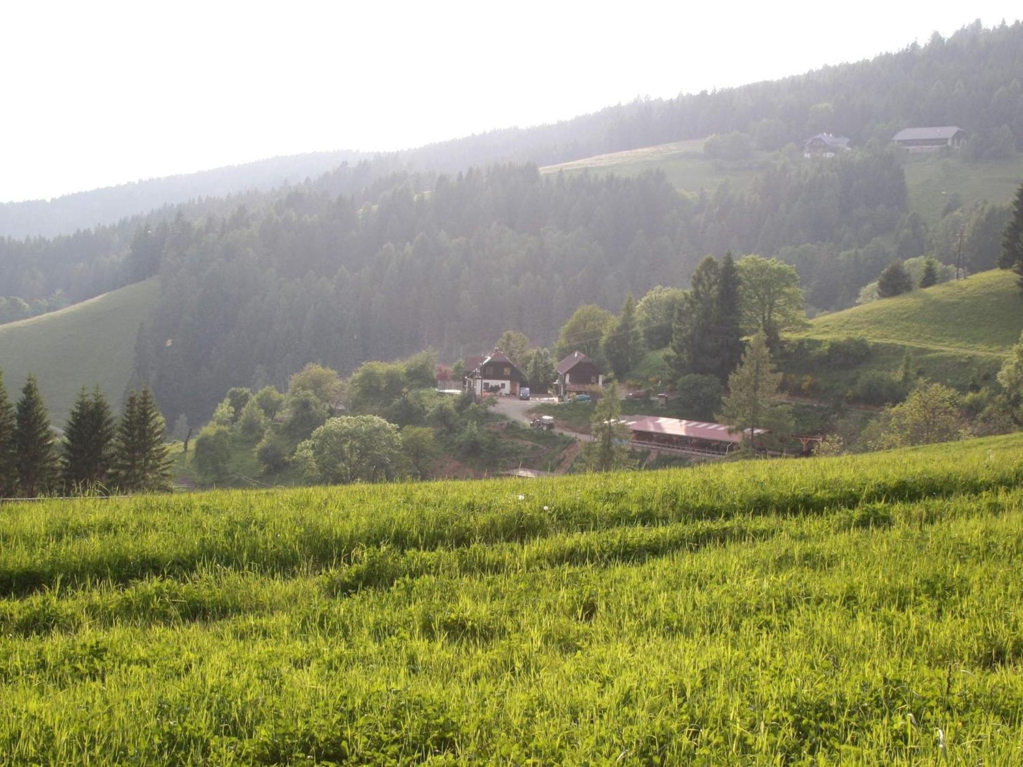 Detached Wooden Chalet In Liebenfels Carinthia Near The Simonh He Ski Area Экстерьер фото